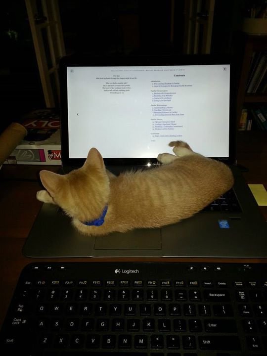David Hemphill's album, Chloe working on her doctorate