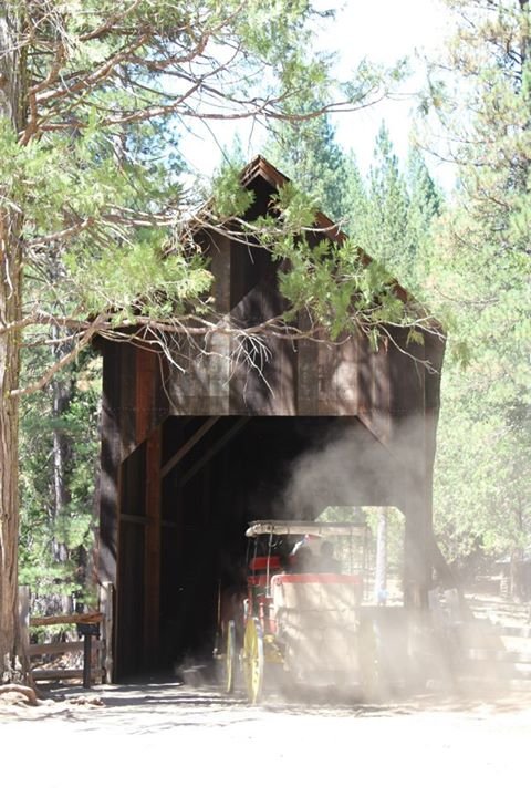Cynthia Hare's album, Camping in Yosemite