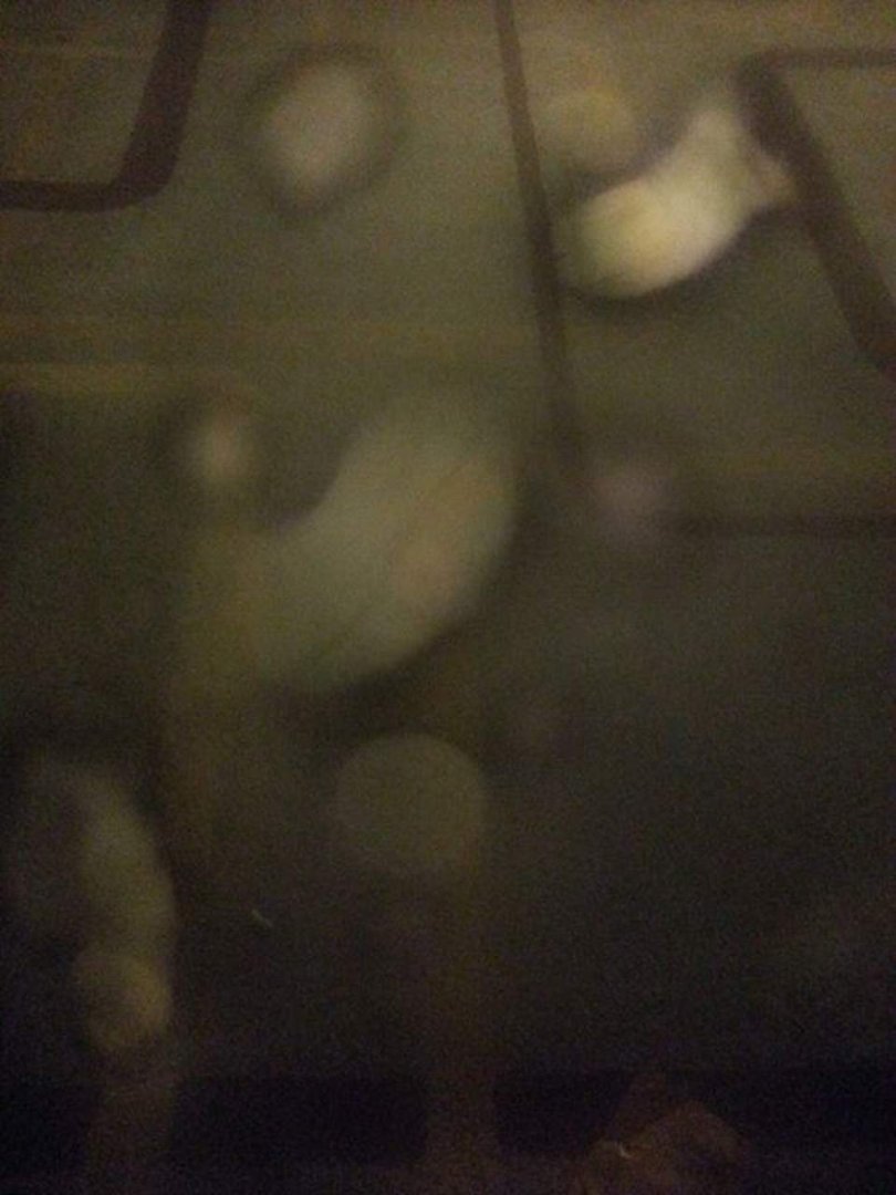 Ashley Alexander's album, Mobile Uploads