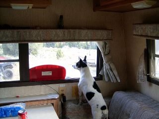 Karen Garrett's album, Birthday camping