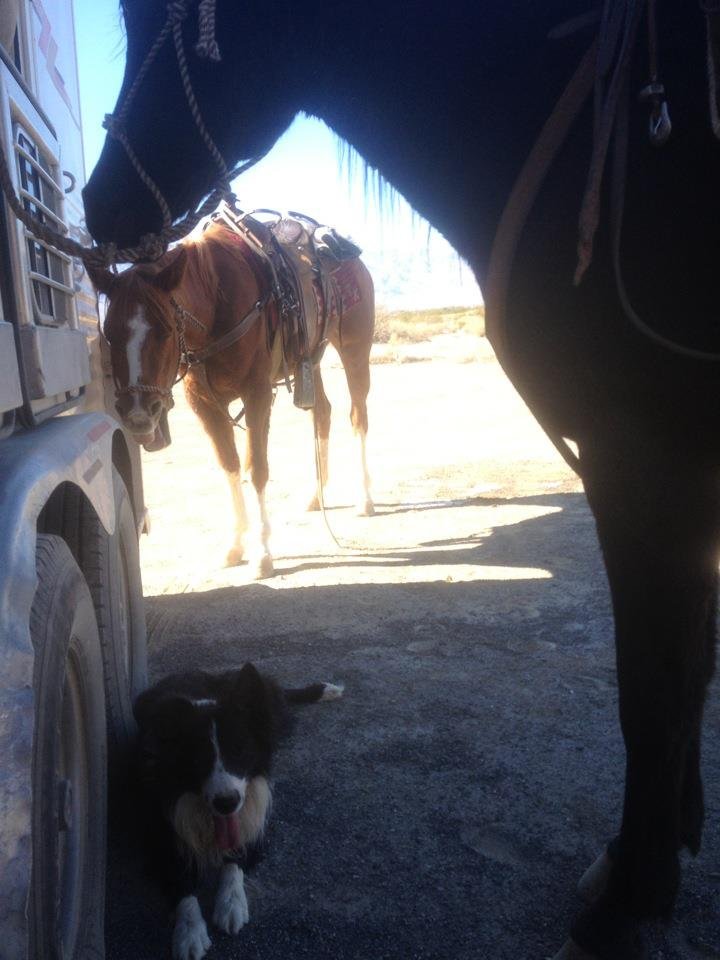 Colleen Smead's album, Mobile Uploads