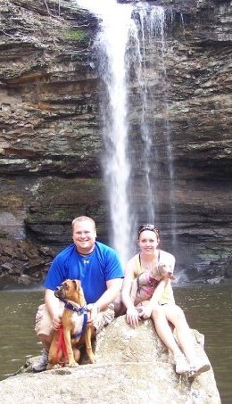 Brian Anton's album, Profile Pictures