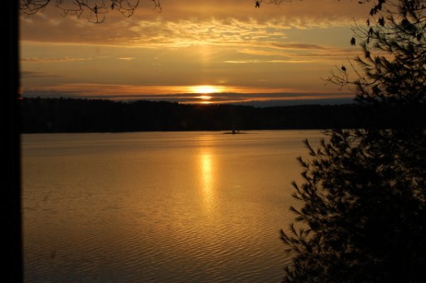 David Meserve's album, The View from "Camp Dave"