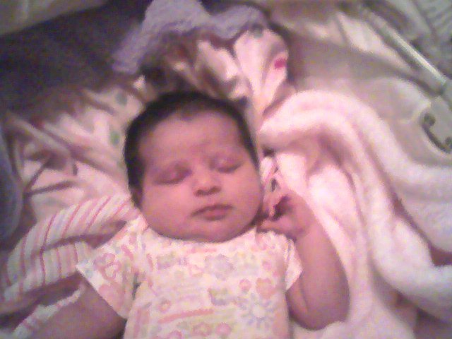 Patricia Chavez's album, Mobile Uploads