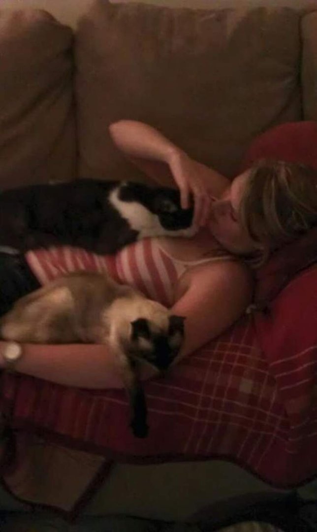 Amy Ellison's album, Mobile Uploads