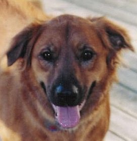 randy pinkham's album, Profile Pictures