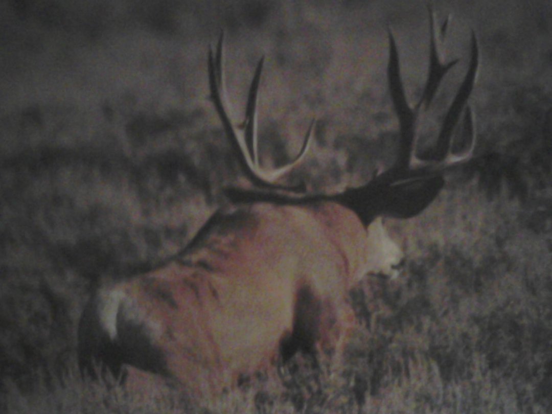 Wayne Davis' album, Profile Pictures