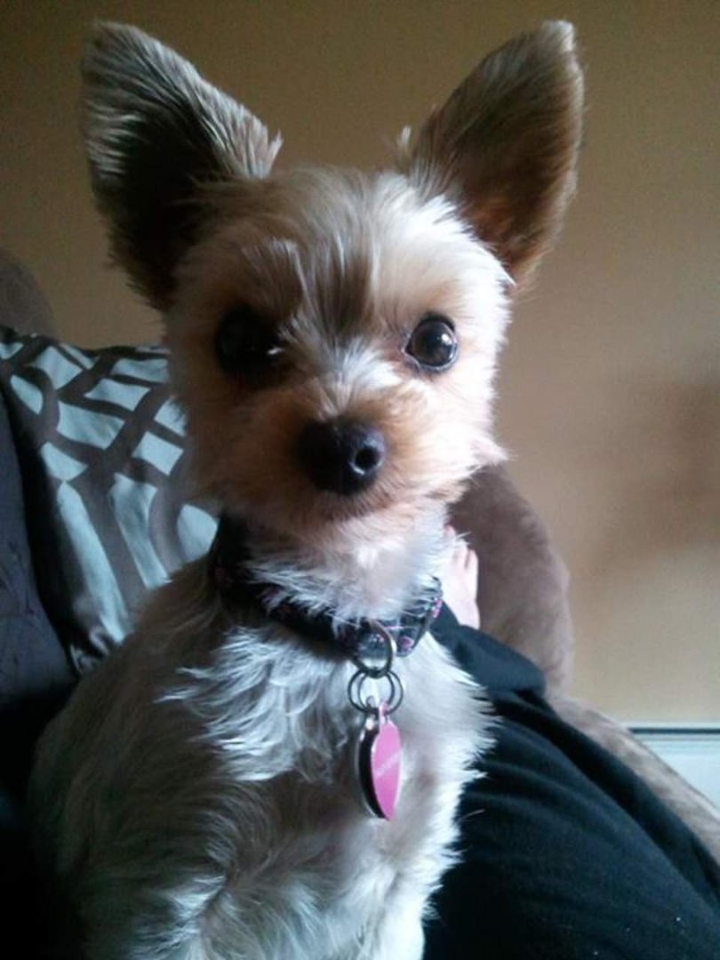 Stacey Bernier's album, Mobile Uploads