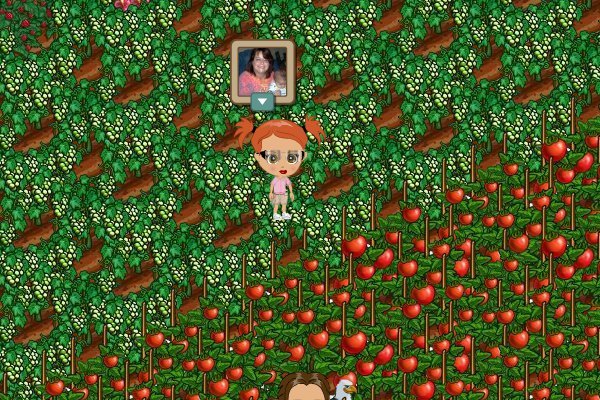 Stephen Chapman's album, FarmVille Photos