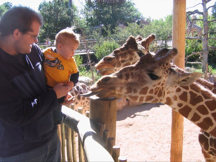 Ken Cain's album, Keaghan at the Zoo