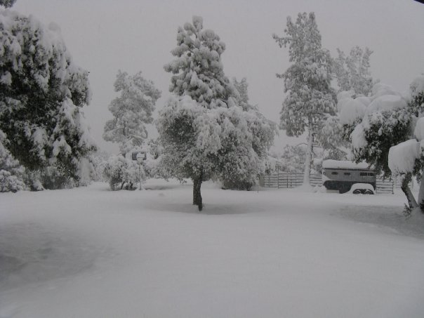 Roger Latimer's album, Snow