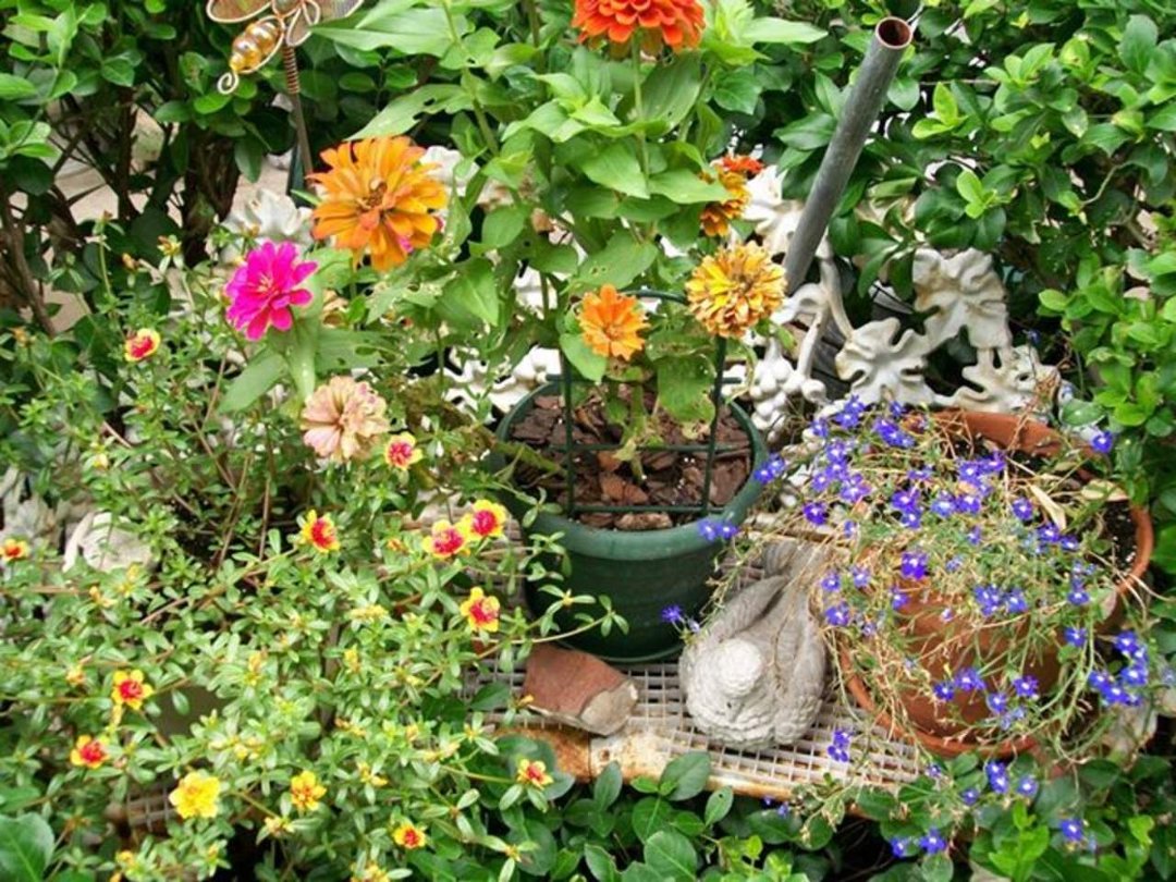 Nancy Harris' album, Cover Photos