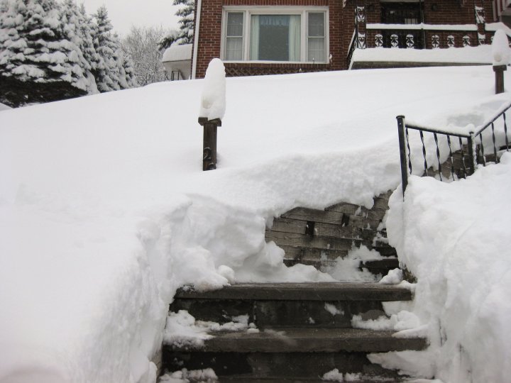 Wanda Smith's album, SNOW Feb. 2010