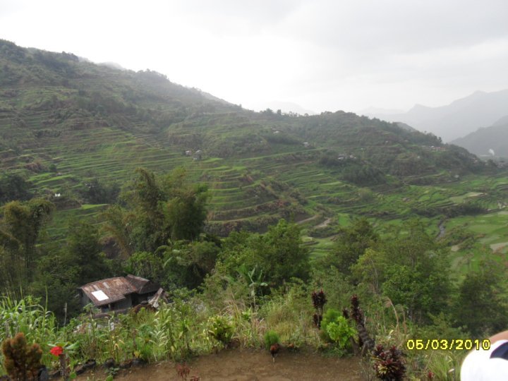 Donato Colcol's album, Family's visit to Banaue Rice Terraces