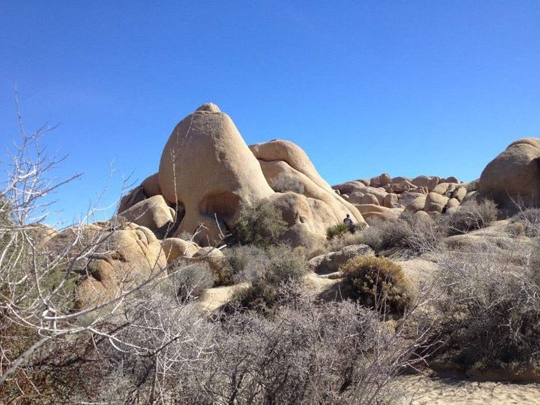 Fran Brown's album, Trip to San Diego and Deserts