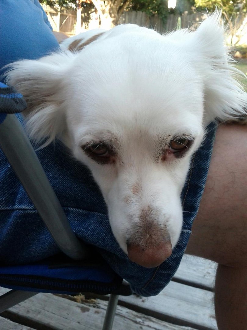 Barbara Wilhelm-Harding's album, Mobile Uploads