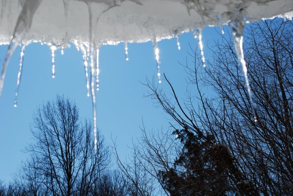 Donna Greenwald's album, snow party 2010