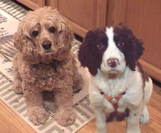 Neil Fine's album, Our Beautiful Best Friends