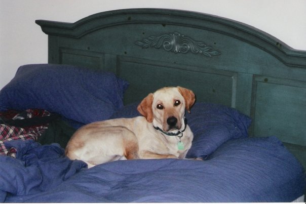 Tyler Nelson's album, Sweet Tobi Girl