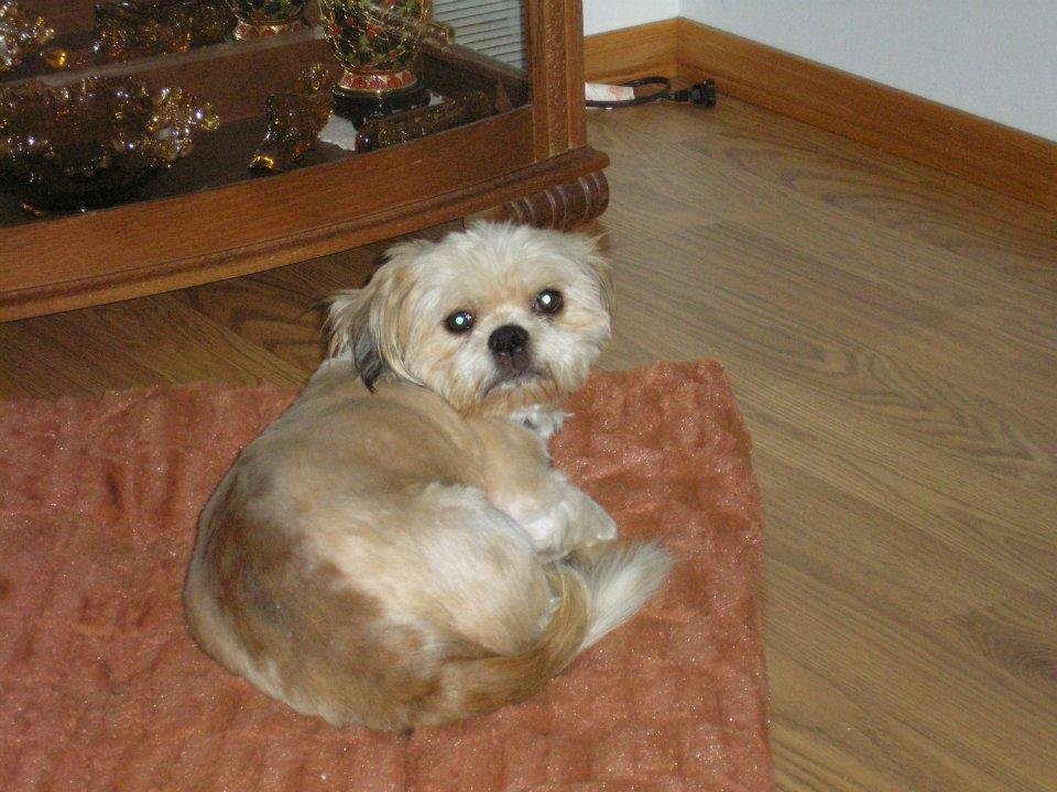 Robin Rice's album, Toby