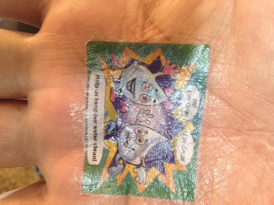 shane chacon's album, iOS Photos