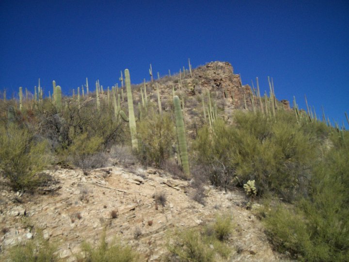 Jerry Nelson Sr's album, Arizona
