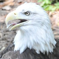 Danny Smith's album, Profile Pictures