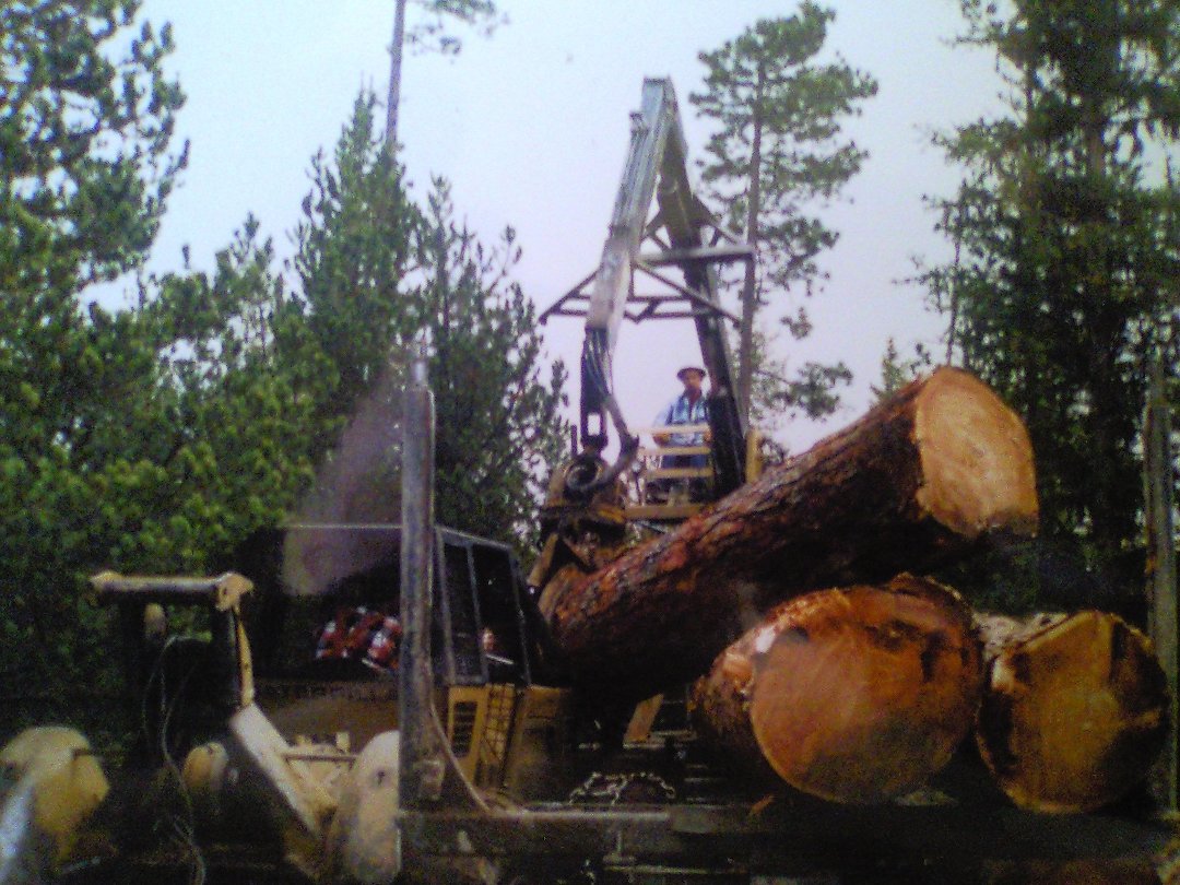 David Reed's album, truck pictures