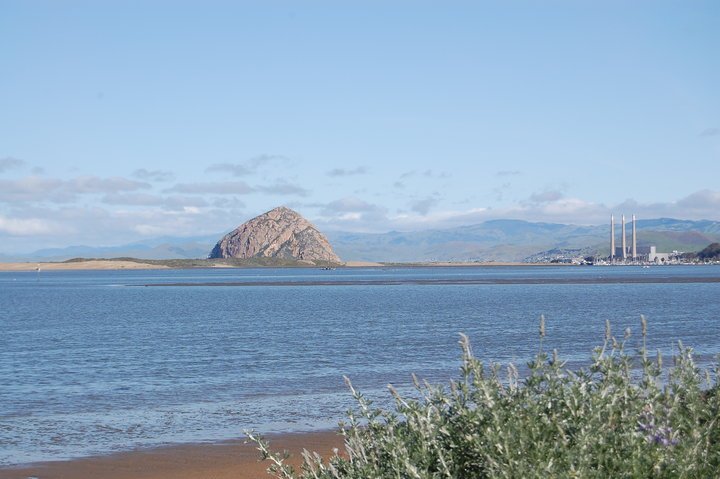Ted Roter's album, los osos