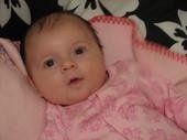 Derek Bancroft's album, Daddy's little girl