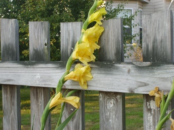 Aisha Bonner's album, My shots of Nature!