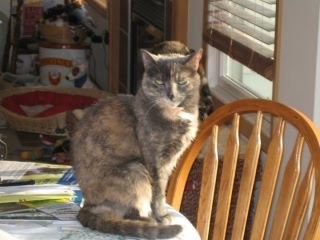 Willard Long's album, Misc Pictures