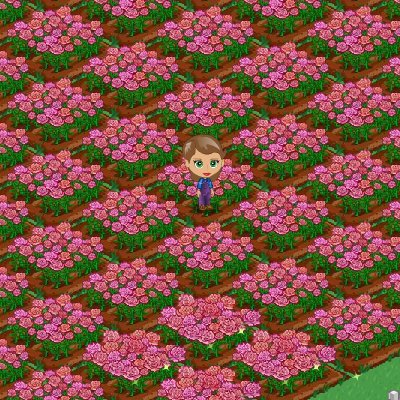 Jean Handley's album, FarmVille Photos