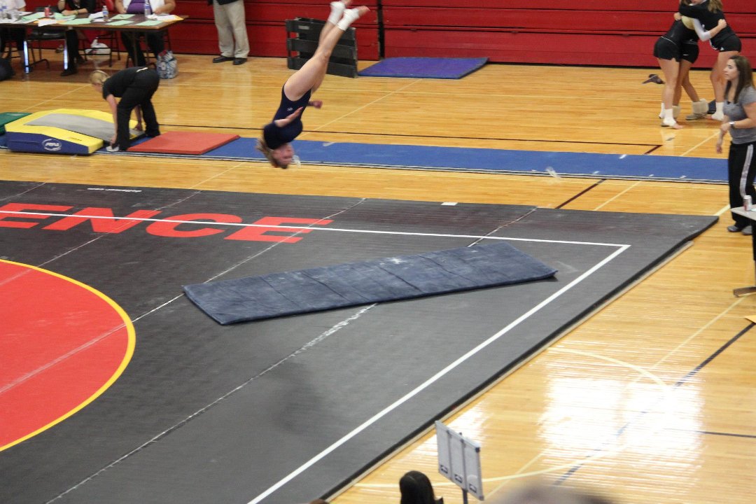 Mike Mann's album, State Gymnastics