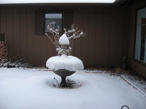 Robert Mitchell's album, Timeline Photos