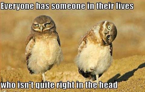 Steven Smith's album, Timeline Photos
