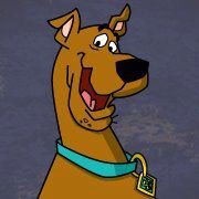 billy walker's album, Profile Pictures