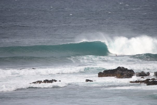 Mike Davis' album, a couple shots of honolua bay