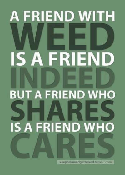 Donovan Laing's album, Timeline Photos