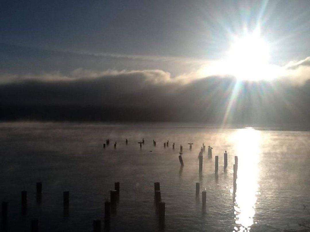 Taumy Gilbert's album, Cover Photos