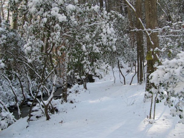 Tom Hellgeth's album, Snow time at Rogers Creek