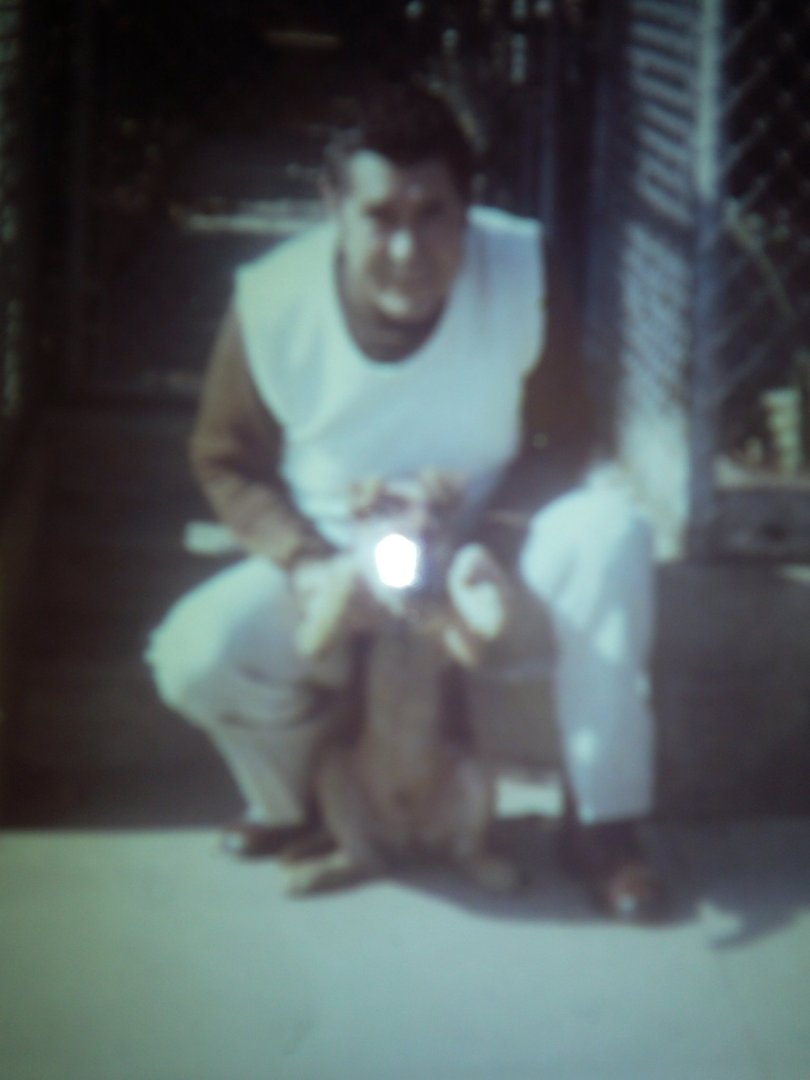 Luanne Borges' album, daddy