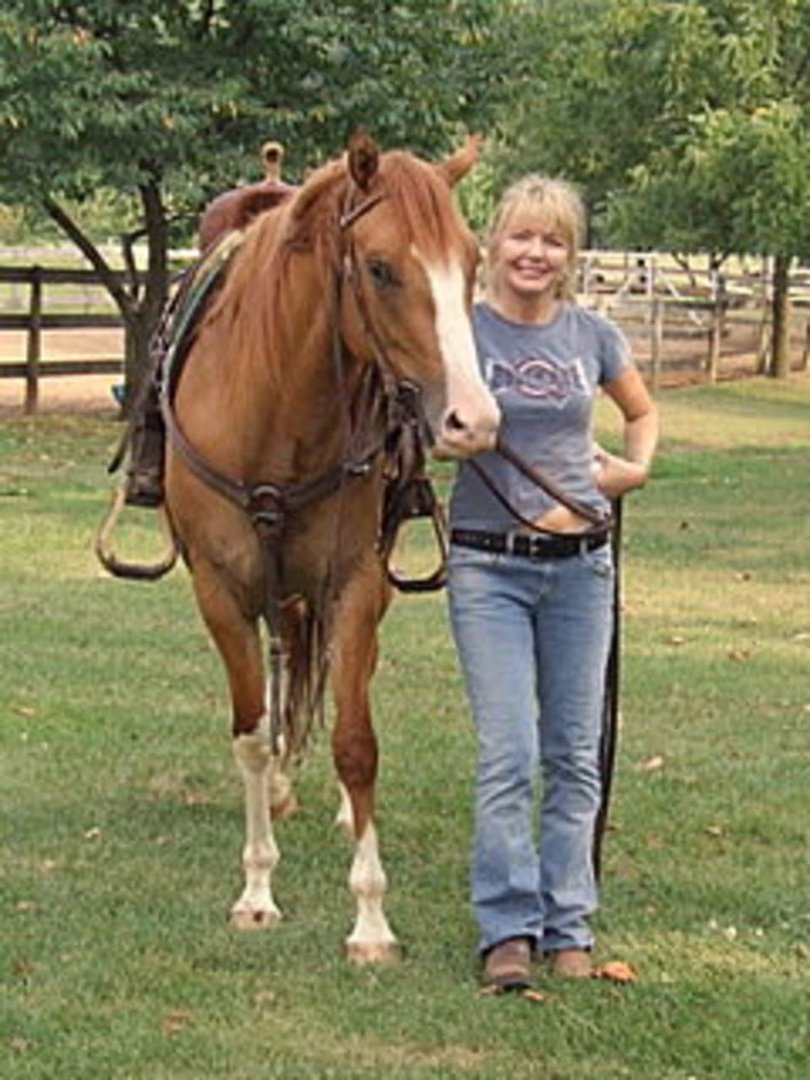 Peggy Walicki's album, Profile Pictures