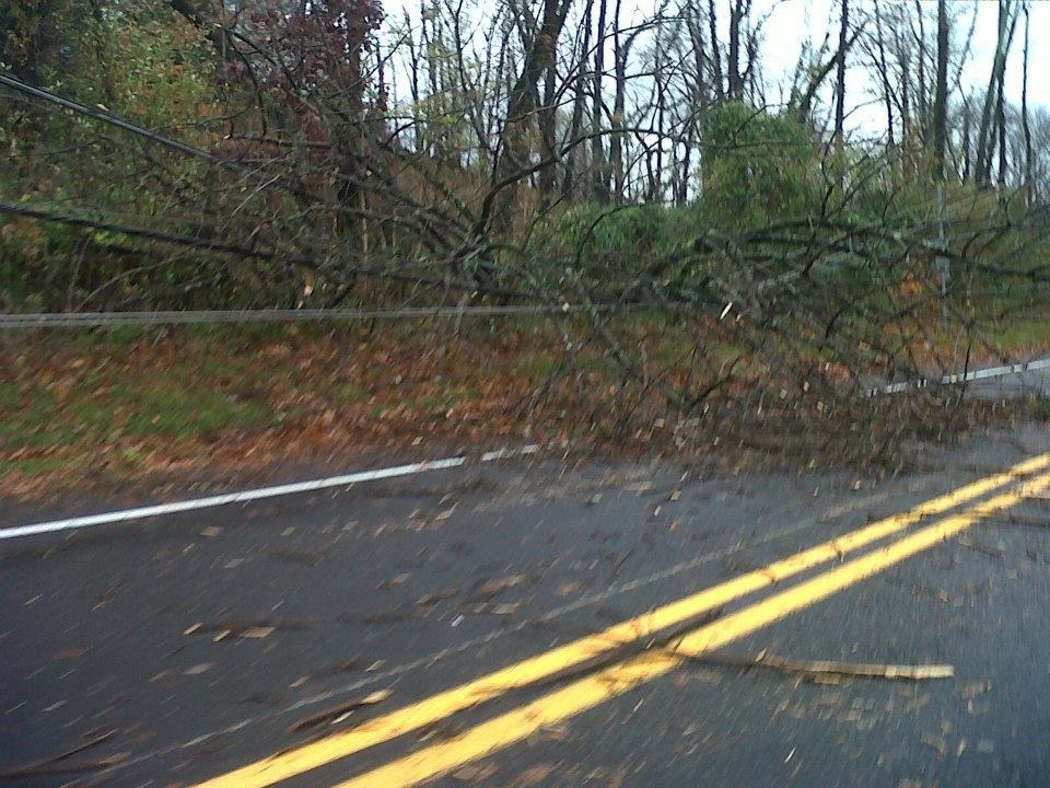Robert Kane's album, Hurricane Sandy