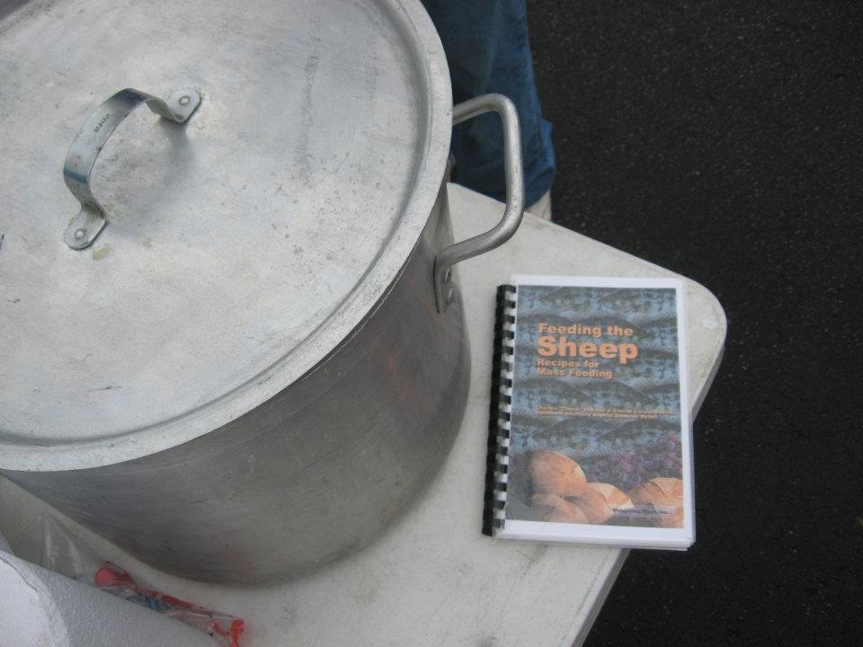 Mark Satin's album, Disaster Relief Training