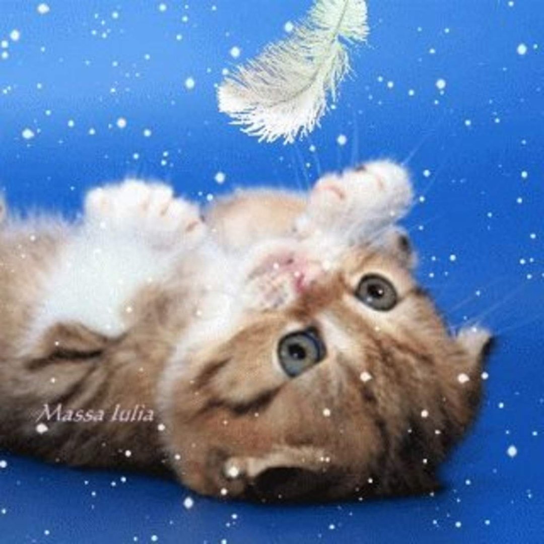 Sandy McPeak's album, ♥Best Friends♥Happy Winter Photos