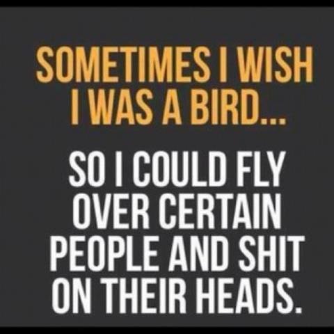 Robin Wright's album, Timeline Photos