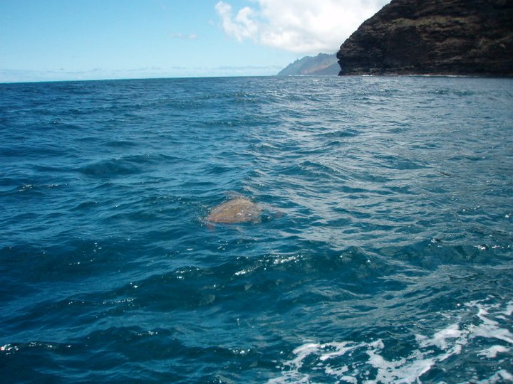 Don Eagle's album, Kauai