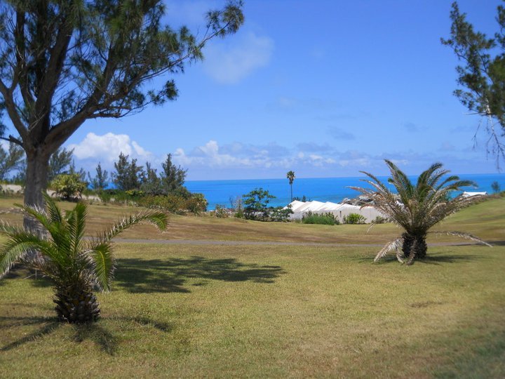 Tracy Robertson's album, Bermuda 2011