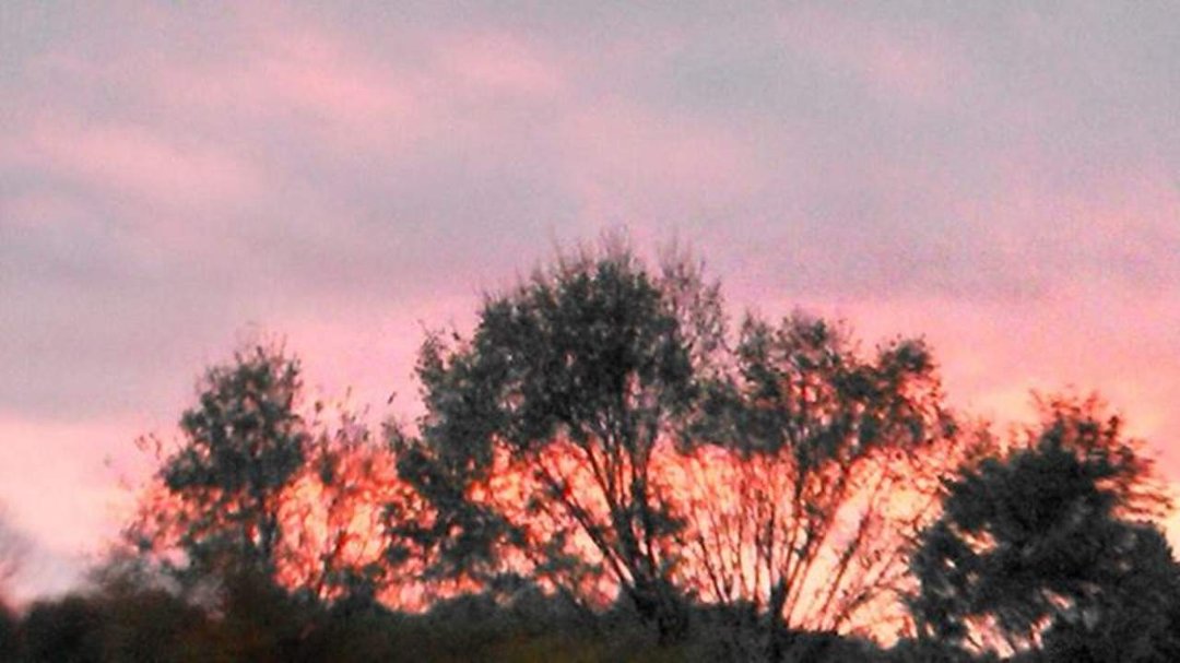 Brandy Botts' album, Mobile Uploads